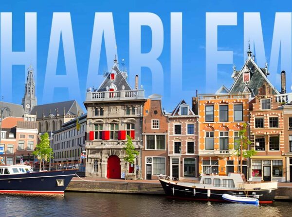 Cenforce te koop in Haarlem (2)